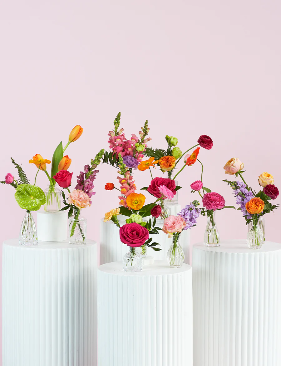 Bud Vase Package