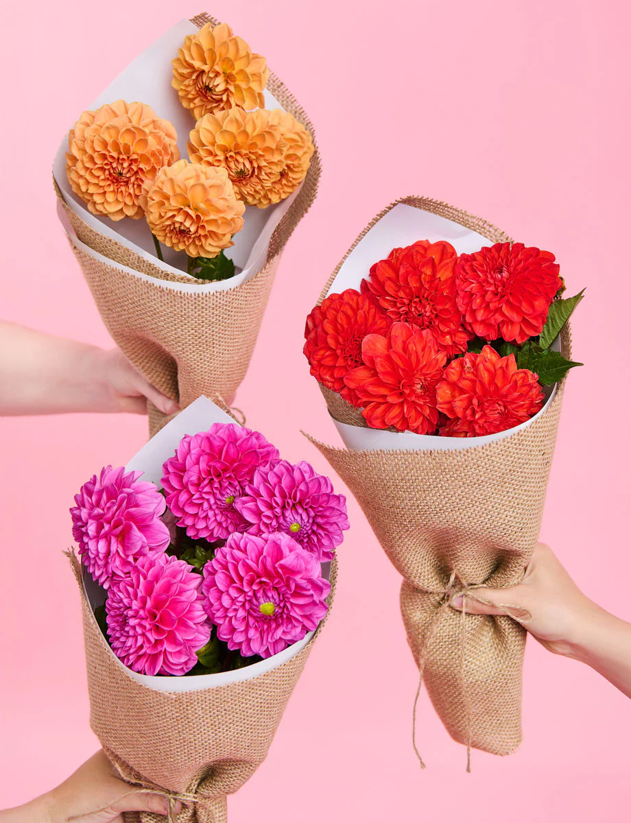 Hey, Babe Bundle - Image 3