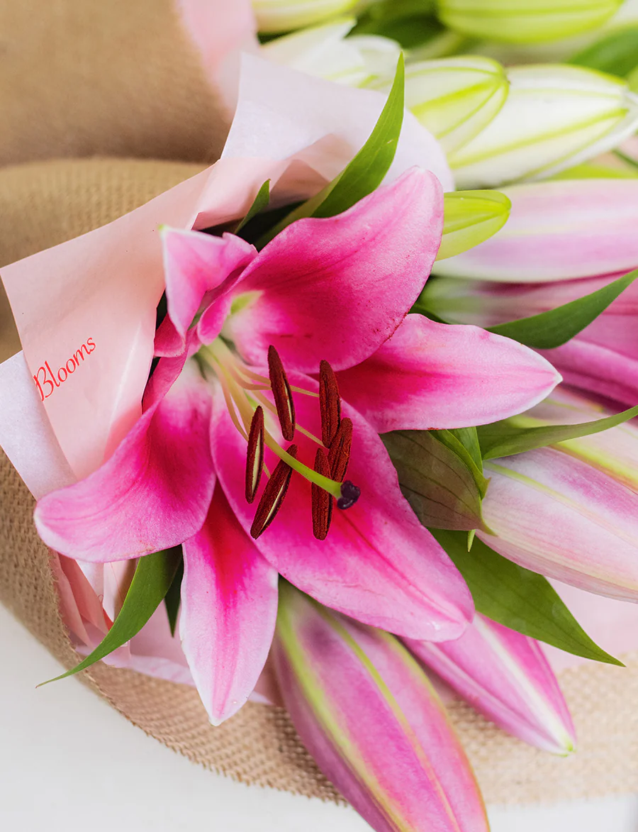 Oriental Lilies + a vase! - Image 5