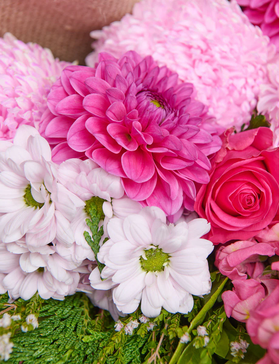 Medium Colour + a vase! - Image 4