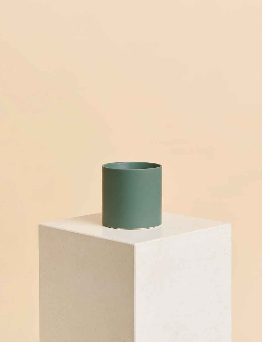 Monstera + a Green Pot - Image 4