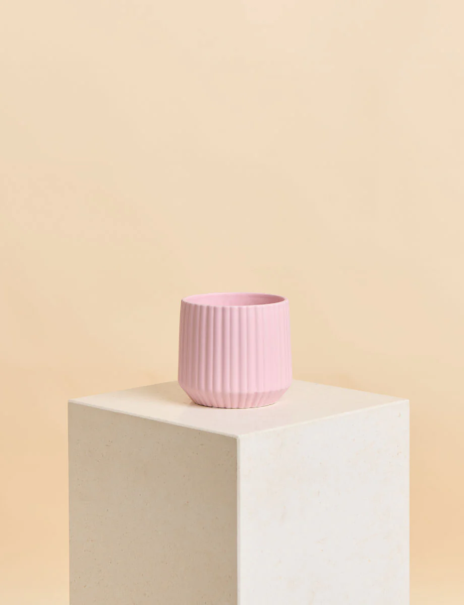 Raindrop + a Pink Pot - Image 4