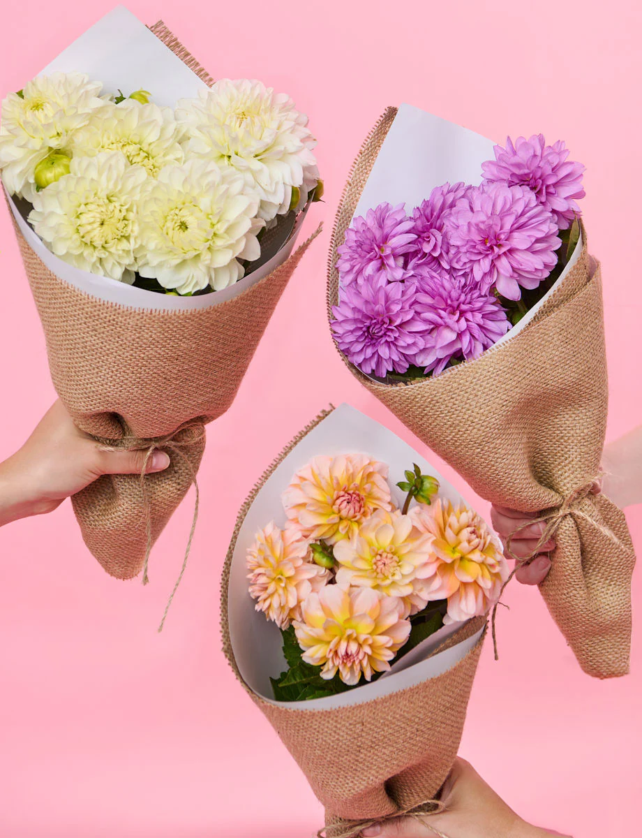 Sweet Splits Bundle with Dahlias - Image 4
